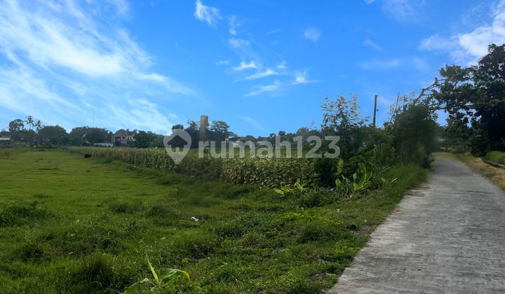 Dekat Jogja, Lingkungan Tenang, Harga Murah