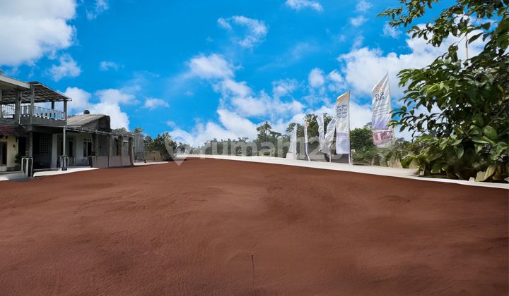 	Jual Tanah Jogja SHM Sleman Dekat Jalan Raya