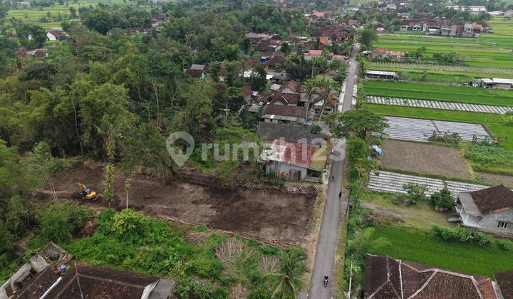 Tanah Kalasan Daerah Selomartani Timur Bandara Adisucipto Tanah Kalasan Daerah Selomartani Timur Bandara Adisucipto