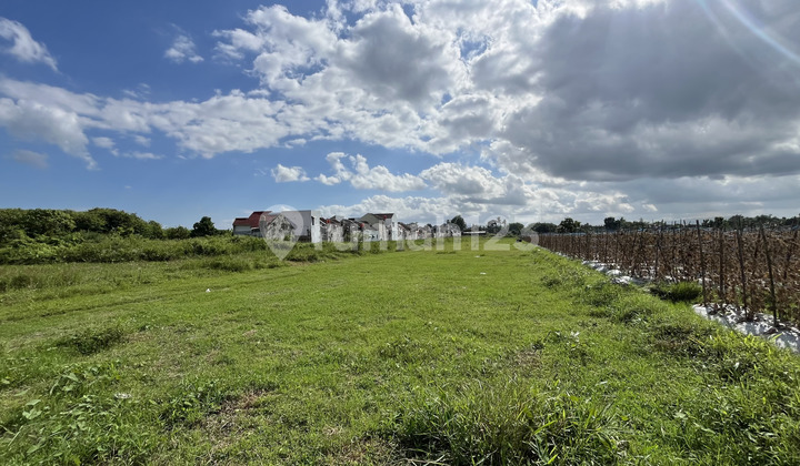 300Jtan, Tanah Godean, Dekat Pasar Gamping Jogja