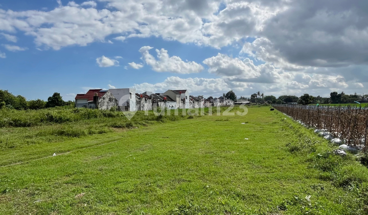 Affordable Land Near Pasar Gamping & PKU Hospital Affordable Land Near Pasar Gamping & PKU Hospital