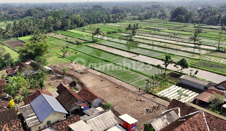 Land Ready for Deed of Sale, North of Jejamuran Restaurant, View of Rice Fields & Mount Merapi.