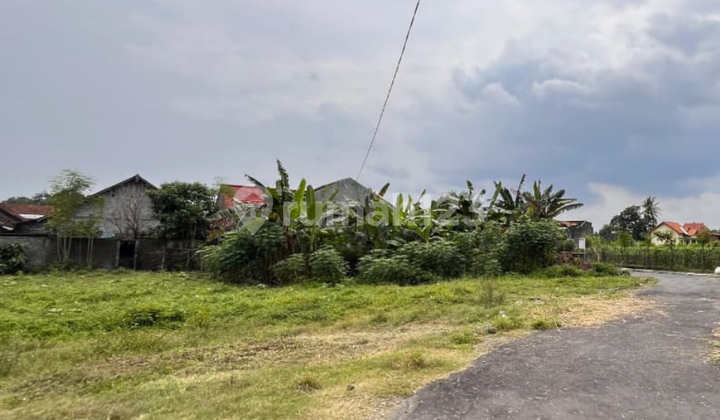 Segera Miliki Tanah Area Purwomartani Harga 1 Jutaan Segera Miliki Tanah Area Purwomartani Harga 1 Jutaan