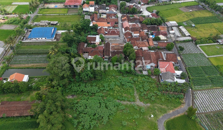 Tanah 3 Akses Utara Dawet Ringin Pak Bardi