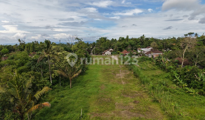 Tanah Asri Kaliurang - SHM Pekarangan