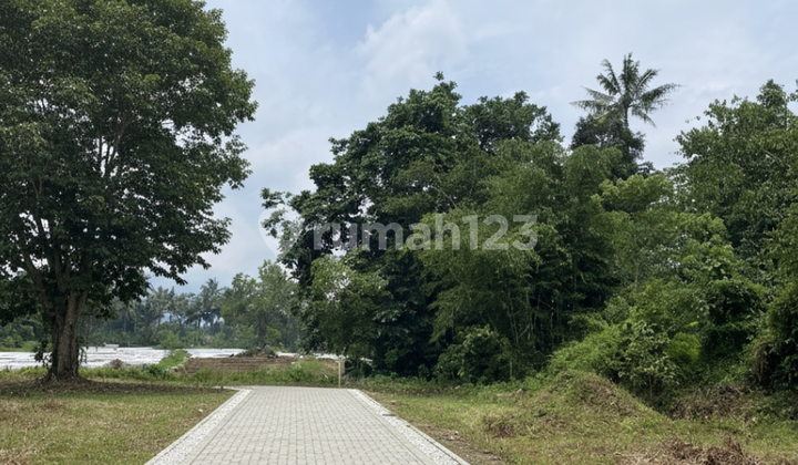 Tanah Siap Balik Nama Dekat Gua Maria Tebonan Tanah Siap Balik Nama Dekat Gua Maria Tebonan