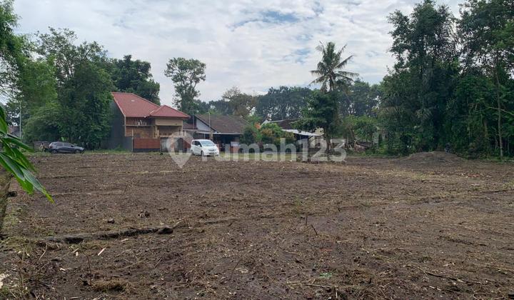 Land in Jogja near Pasar Cebongan, ready for AJB. Land in Jogja near Pasar Cebongan, ready for AJB.
