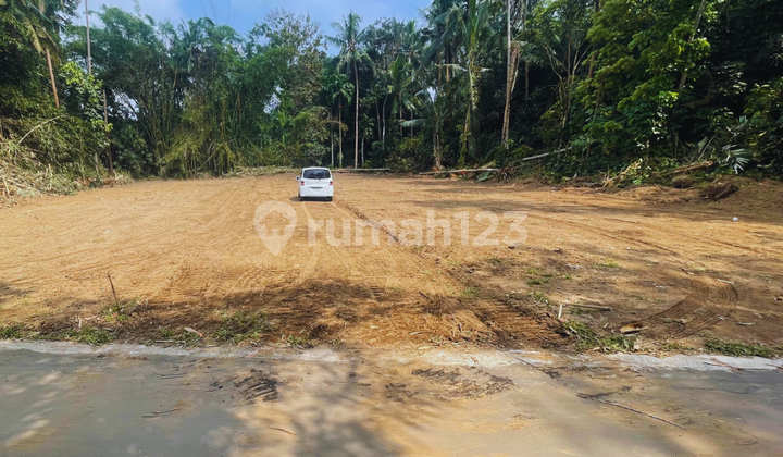 GOVERNMENT LAND AREA IN SLEMAN REMAINING 1 UNIT GOVERNMENT LAND AREA IN SLEMAN REMAINING 1 UNIT