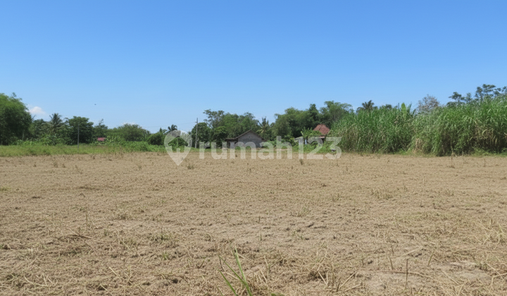 Investasi Emas di Sleman! Tanah Lokasi Strategis