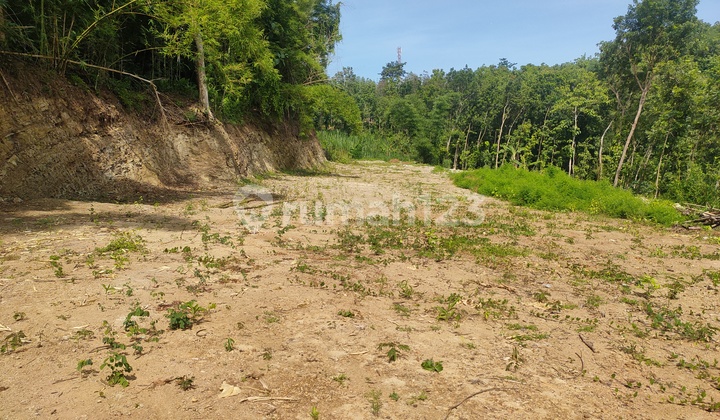 Lahan Komersial Prospektif Dekat Pasar Pleret