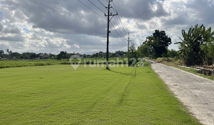 Land 108-184M2 Strategic Near Ringroad & Campus Yogyakarta Land 108-184M2 Strategic Near Ringroad & Campus Yogyakarta