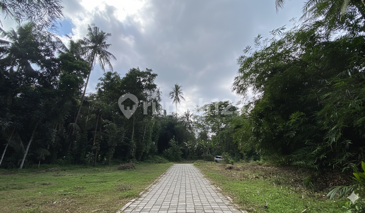 Cheap Land in Sleman Near Samsat & Market, SHM Yard Cheap Land in Sleman Near Samsat & Market, SHM Yard