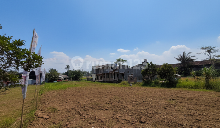 Cheap land in the Sleman area - Pandowoharjo, Yogyakarta Cheap land in the Sleman area - Pandowoharjo, Yogyakarta