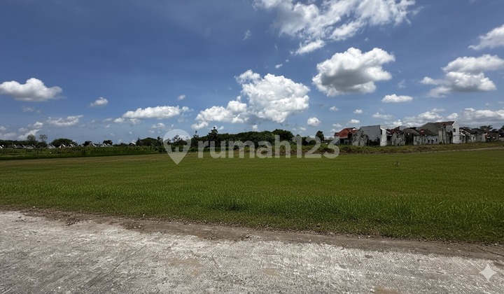 Affordable Land Near West Ringroad & Jogja Campus Area Affordable Land Near West Ringroad & Jogja Campus Area