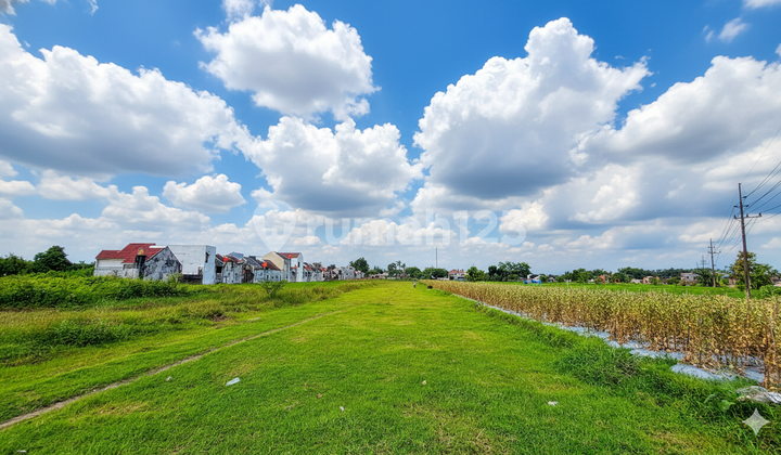 Land Price 3,350 Jt/M2 Near Market & Sleman Education Area Land Price 3,350 Jt/M2 Near Market & Sleman Education Area