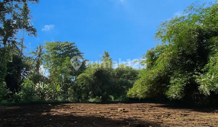 Cheap Land in Sleman Near Samsat & Market, SHM Yard Cheap Land in Sleman Near Samsat & Market, SHM Yard