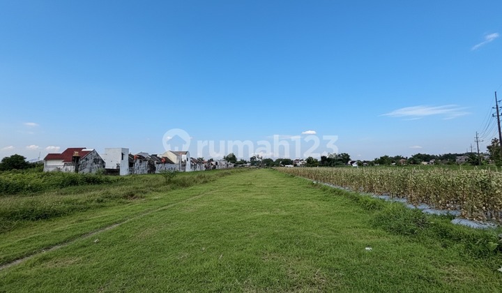 Affordable Land Near West Ringroad & Jogja Campus Area Affordable Land Near West Ringroad & Jogja Campus Area