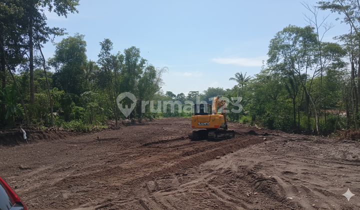 Tanah Siap Bangun Dekat Wisata Kuliner Kopi Klotok Tanah Siap Bangun Dekat Wisata Kuliner Kopi Klotok