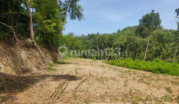 Lahan Cocok untuk Bangun Villa Nuansa Alam Lahan Cocok untuk Bangun Villa Nuansa Alam