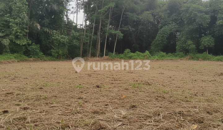 Tanah 114-121M² Sleman, 7 Menit ke Sleman City Hall(Sch)