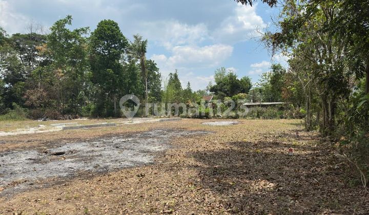 Kavling Usaha Strategis di Jalur Utama Jogja-Solo