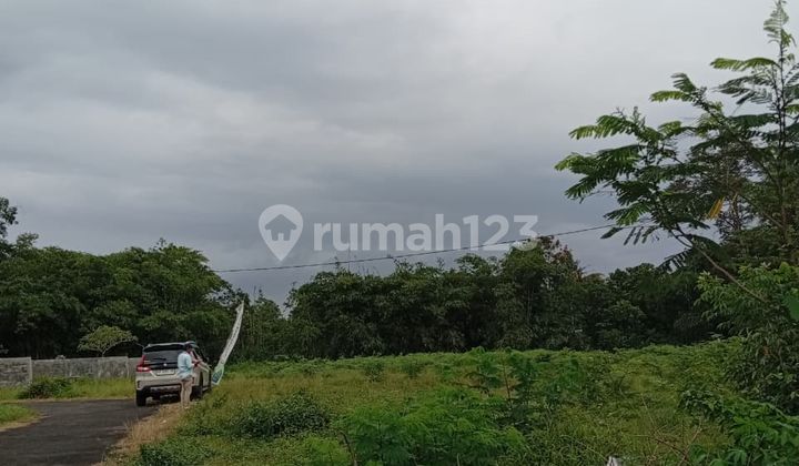 Tanah Komersial Dekat Kawasan Kuliner Maguwoharjo Tanah Komersial Dekat Kawasan Kuliner Maguwoharjo