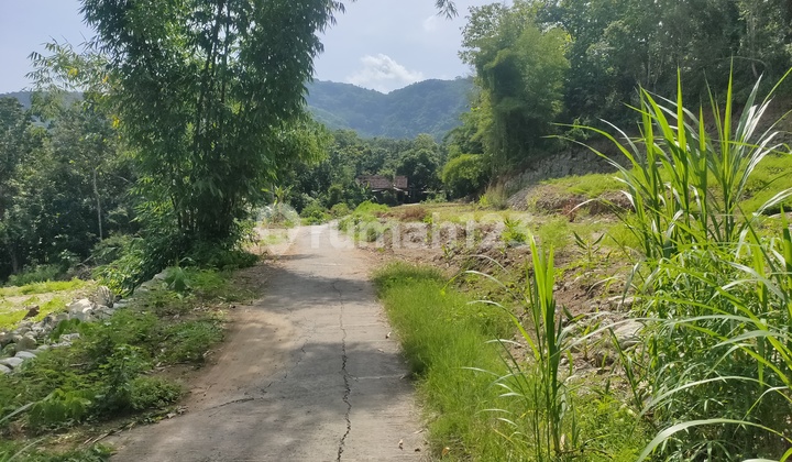 Tanah Strategis di Pleret Dekat Hutan Pinus