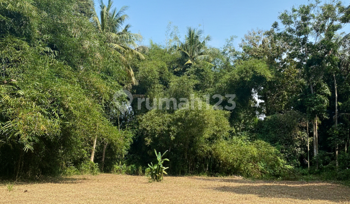 Land Near Sleman Market, SHM Yard, Ready to Build