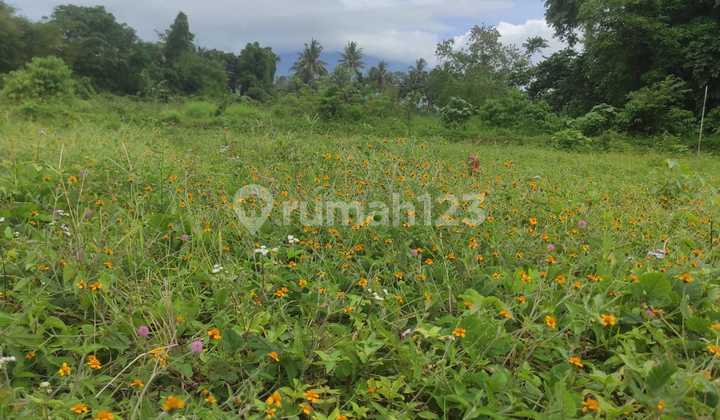 Tanah Strategis Deket Kopi Klotok & Jeep Kaliurang Tanah Strategis Deket Kopi Klotok & Jeep Kaliurang