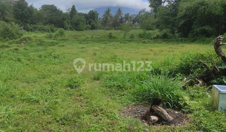 Tanah Buat Rumah atau Villa Family Lokasi Harjobinangun