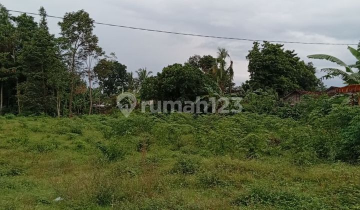 Lahan Investasi Bernilai Tinggi di Maguwoharjo Lahan Investasi Bernilai Tinggi di Maguwoharjo