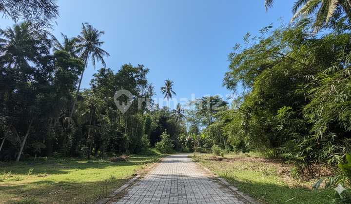 Tanah Murah Triharjo Sleman, Mulai 2,2 Jt/M² Saja!