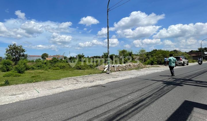 Tanah SHM Potorono, Samping Jalan Pleret-Balong Tanah SHM Potorono, Samping Jalan Pleret-Balong