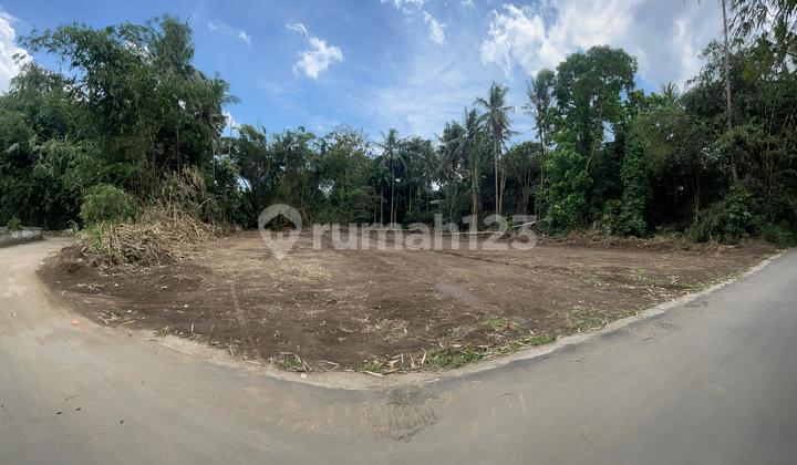 Sleman Land with SHM Certificate, 5 Minutes to Sleman Government Office, Dr. Radjimin Street. Sleman Land with SHM Certificate, 5 Minutes to Sleman Government Office, Dr. Radjimin Street.