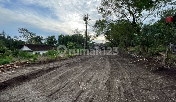 Tanah SHM Jogja Utara Exit Tol Tamanmartani Kalasan Tanah SHM Jogja Utara Exit Tol Tamanmartani Kalasan