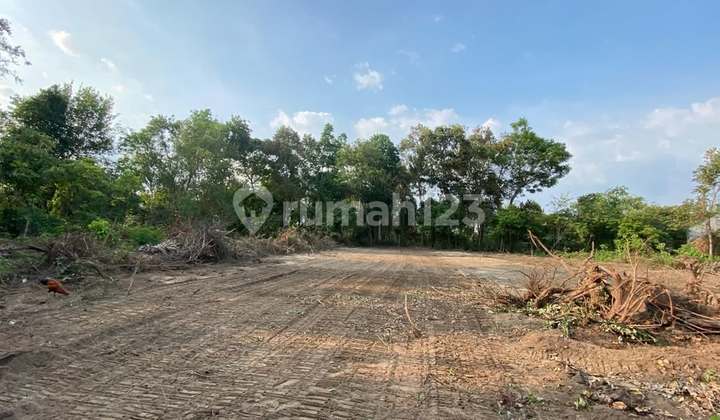 Tanah Sleman Siap AJB Utara Kopi Klotok