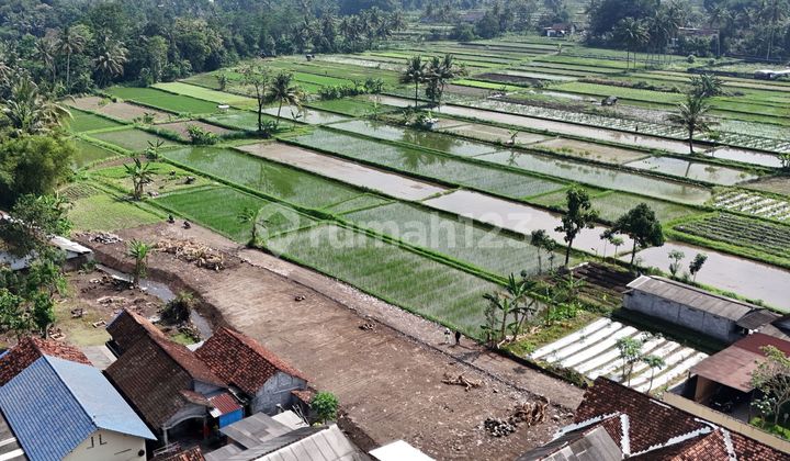 Tanah SHM Sleman Langka View Sawah dan Merapi Tanah SHM Sleman Langka View Sawah dan Merapi