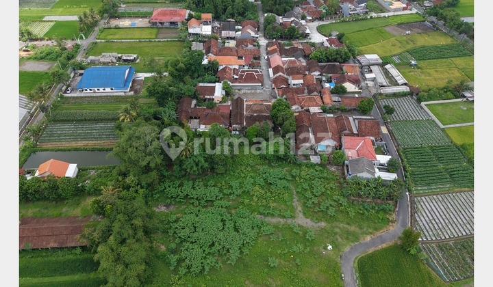 Tanah Siap Bangun 200 Jutaan Utara Pamella 7