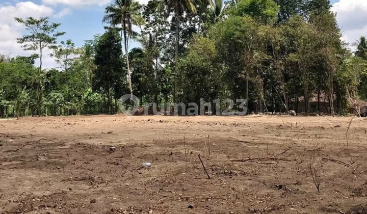 Sleman Land Ready for Deed of Sale and Purchase West Jangkang Market Sleman Land Ready for Deed of Sale and Purchase West Jangkang Market