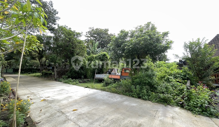 Tanah Siap Bangun Samping Isqi Sunan Pandanaran Tanah Siap Bangun Samping Isqi Sunan Pandanaran