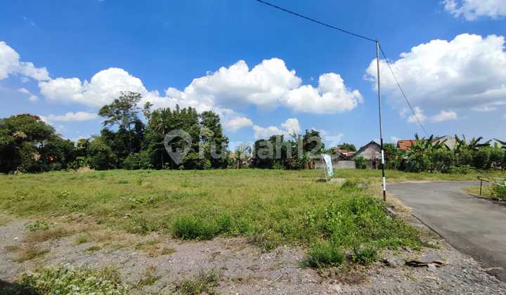 Tanah Pekarangan Asri Dekat Tol Kalasan, Siap Bangun