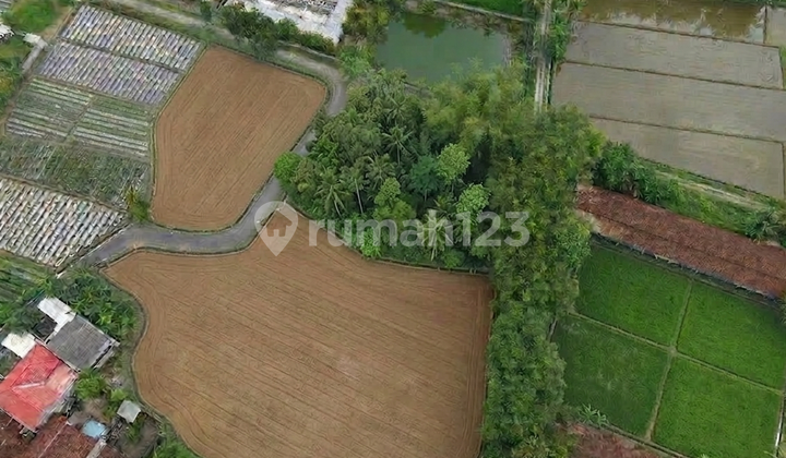 SHM Land North Kalasan Pamella 7 Supermarket