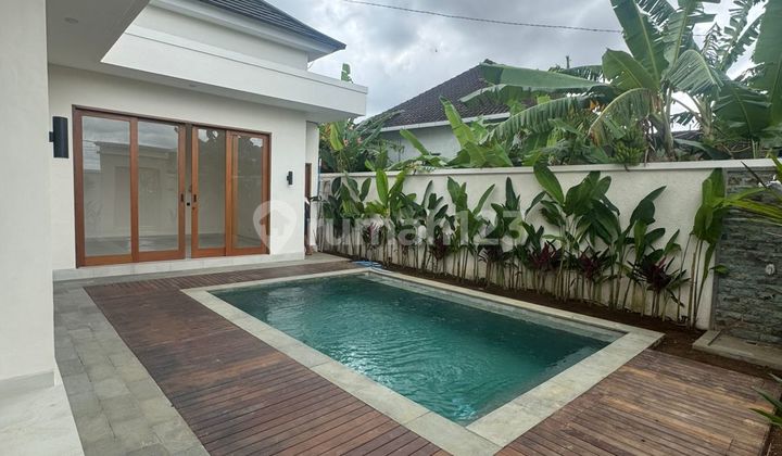 Brand New Villa For Rent In Bumbak Umalas