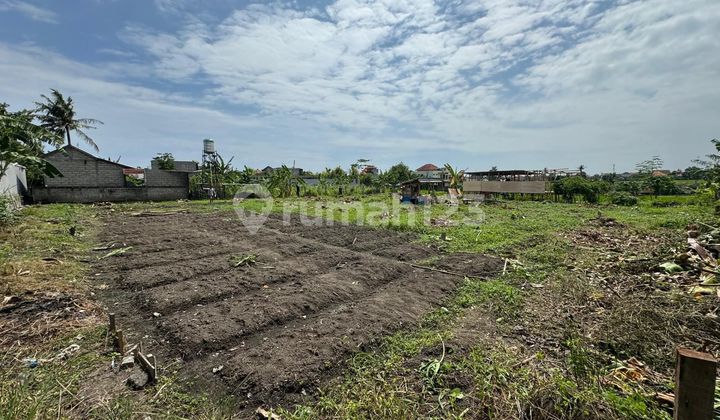Dijual / Freehold : Tanah 14 Are, View Sawah Jl Beringin, Padonan