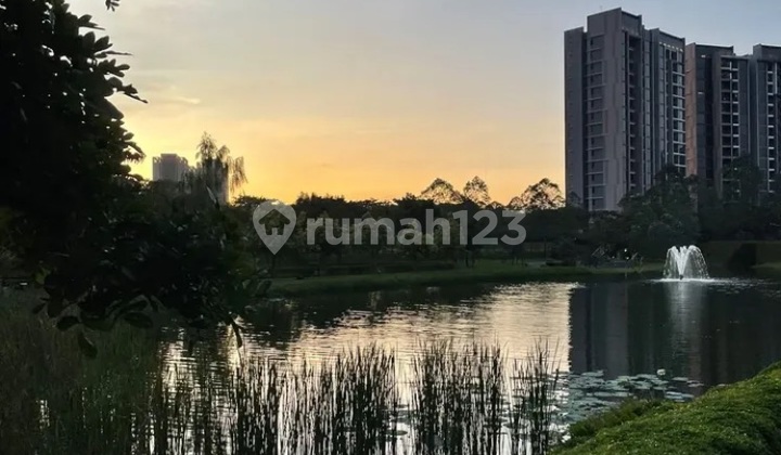 Disewa Apartement Cantik Murah Di Tower Favorit Marigold Navapark 1 Kamar Tidur 2