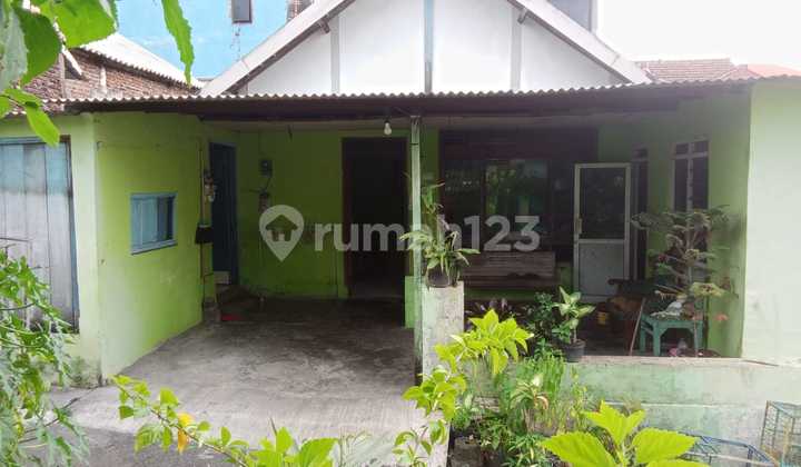 1-Story House Flood-Free Comfortable Green Bn 2
