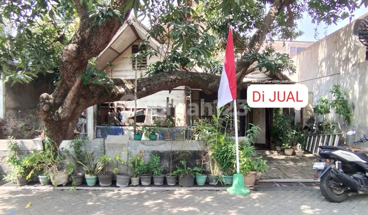 Old Building Lease Land in Strategic Pusponjolo 1