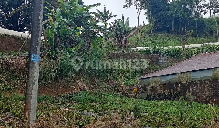 Tanah Jual Lokasi Bedugul
