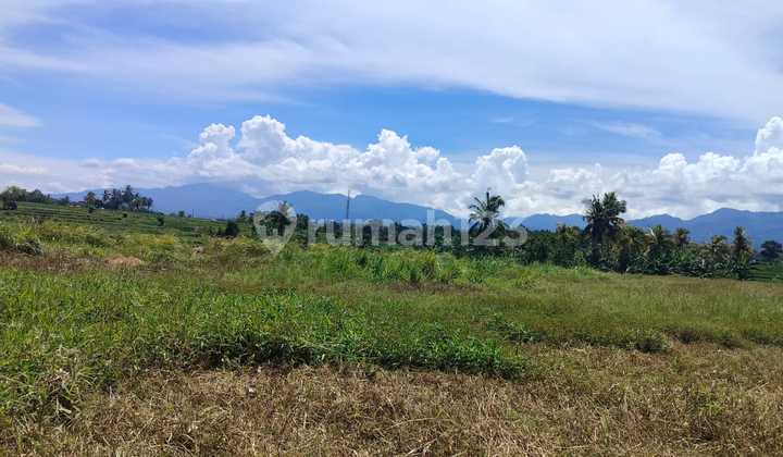 Tanah Jual Lokasi Yeh Embang Tanah Jual Lokasi Yeh Embang