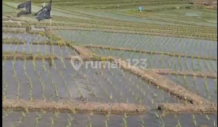 Tanah Jual Lokasi Yeh Gangga Tanah Jual Lokasi Yeh Gangga